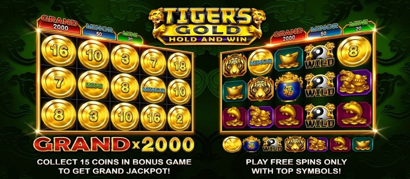 Jackpot Tigers Gold